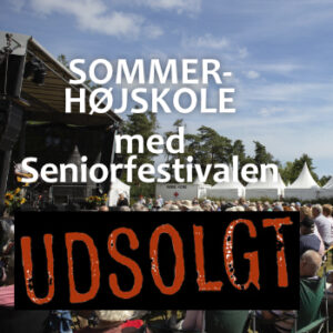 Stemningsbillede fra Seniorfestiivalen
