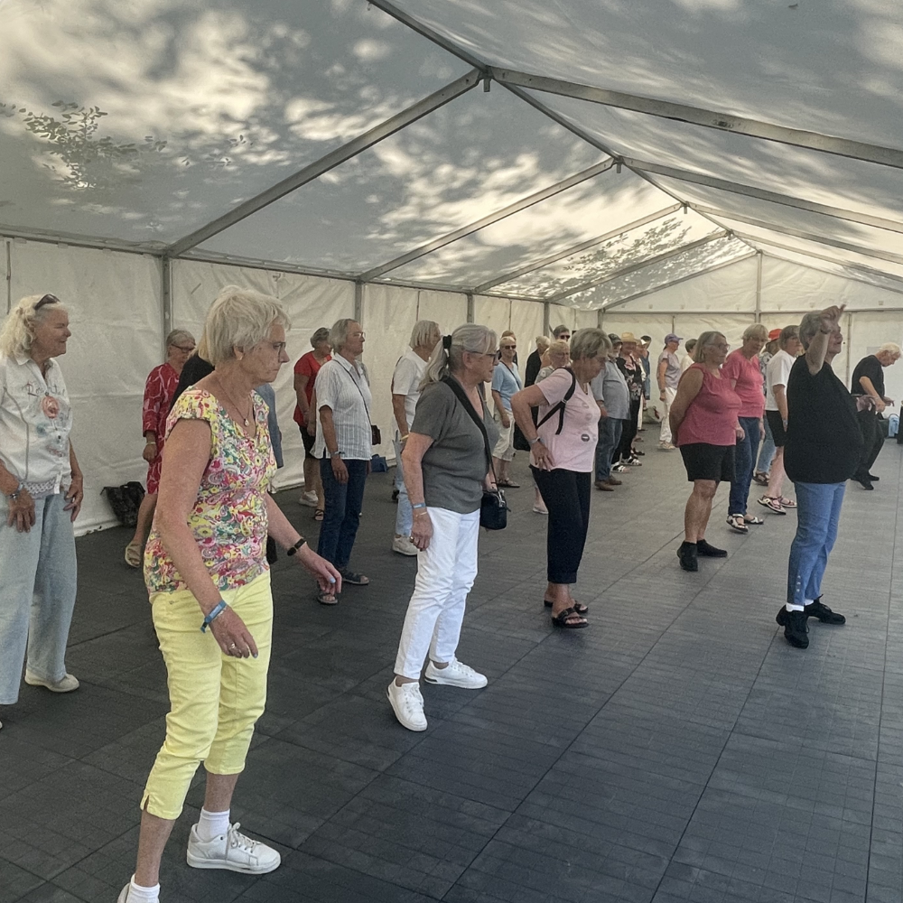 Linedans med Anita og Leon i danseteltet