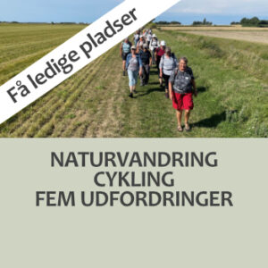 På højskoleopholdet med naturvandring, cykling og fem udfordringer er der få ledige pladser