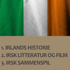 På kurset Irland på Marielyst skal du vælge imellem forløbene Irlands historie, Irsk litteratur og film og Irsk sammenspil