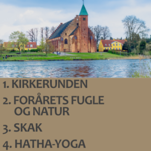 Kirke, fuglesang, skak og Hatha-yoga er de fire fag, du skal vælge imellem på det her højskolekursus