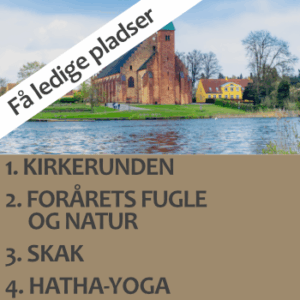 Få ledige pladser på højskolekurset Hold 2026-10