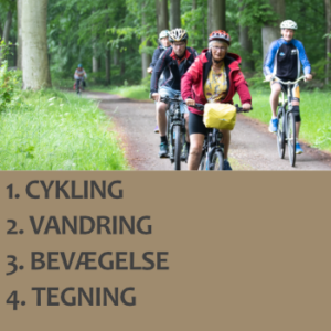 Cykling, vandring, tegning, bevægelse. Der er fire højskoleforløb at vælge imellem på dette højskolekursus