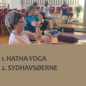 På kurset Sydhavsøerne i maj skal du vælge mellem kursusforløbene Hatha-yoga og Sydhavsøerne