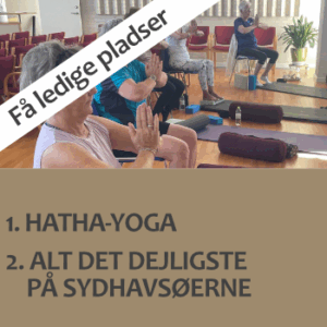 Højskoleophold 2026-13