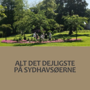 På kurset Alt det dejligste på Sydhavsøerne får du alt det bedste fra området og højskolelivet