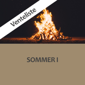 Hold 2026-17: Sommer I 21.6.-4.7.