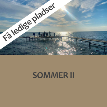 Hold 2026-18: Sommer II 5/7 - 18/7