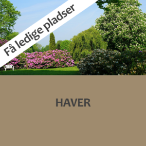 Hold 2026-22: Haver 16.8.-22.8.