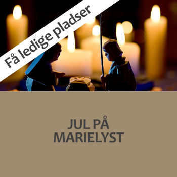 Hold 2026-36: Jul på Marielyst 21.12.-27.12.