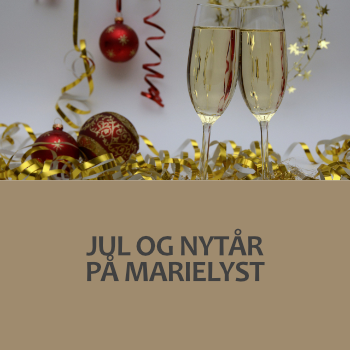 Hold 2026-38: Jul og nytår på Marielyst 21.12.-3.1.