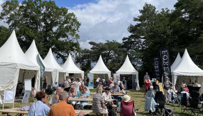 udstillerområdet på plænen til Seniorfestivalen