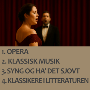 Højskolekursus Kultur for begyndere