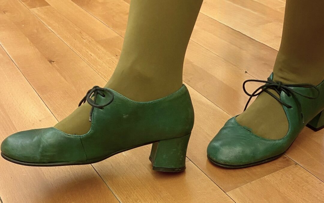 Højskoledag med dans og foredrag